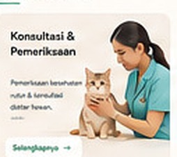 Konsultasi dokter